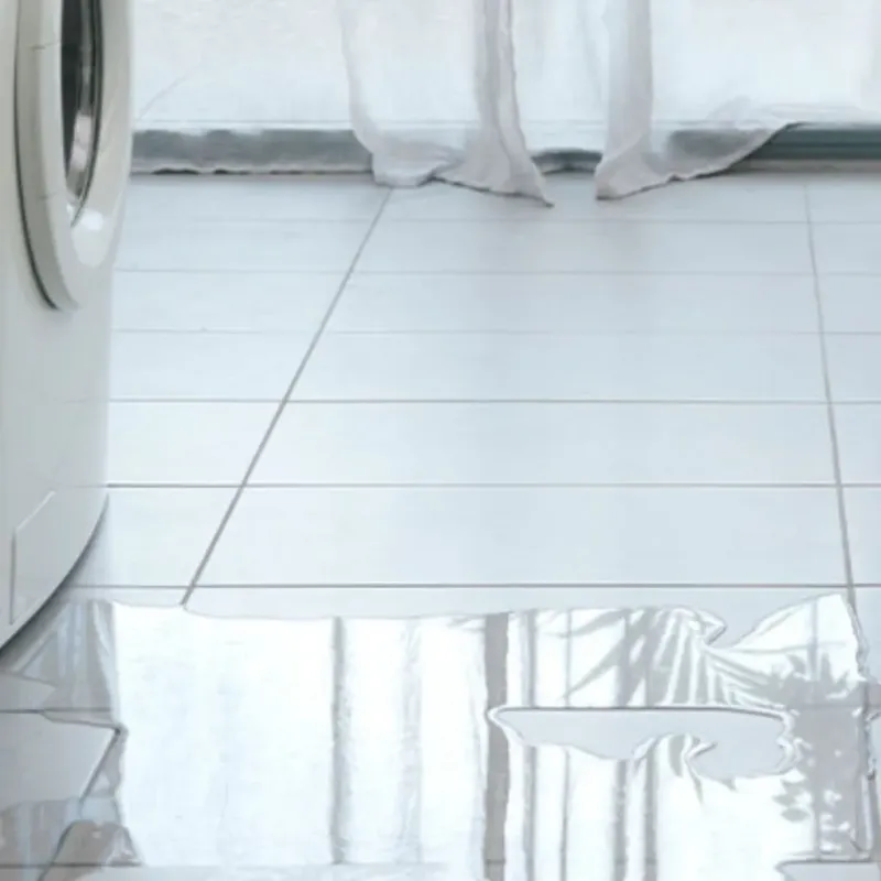 Appliance Leak Cleanup in Fremont, OH