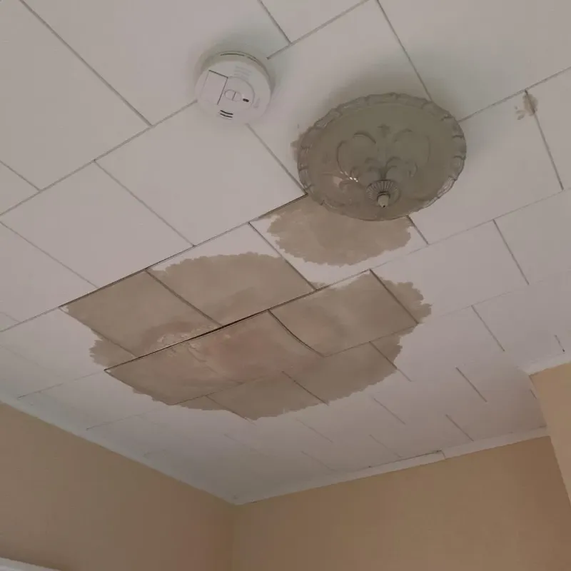 Ceiling Water Damage Repair in Fremont, OH