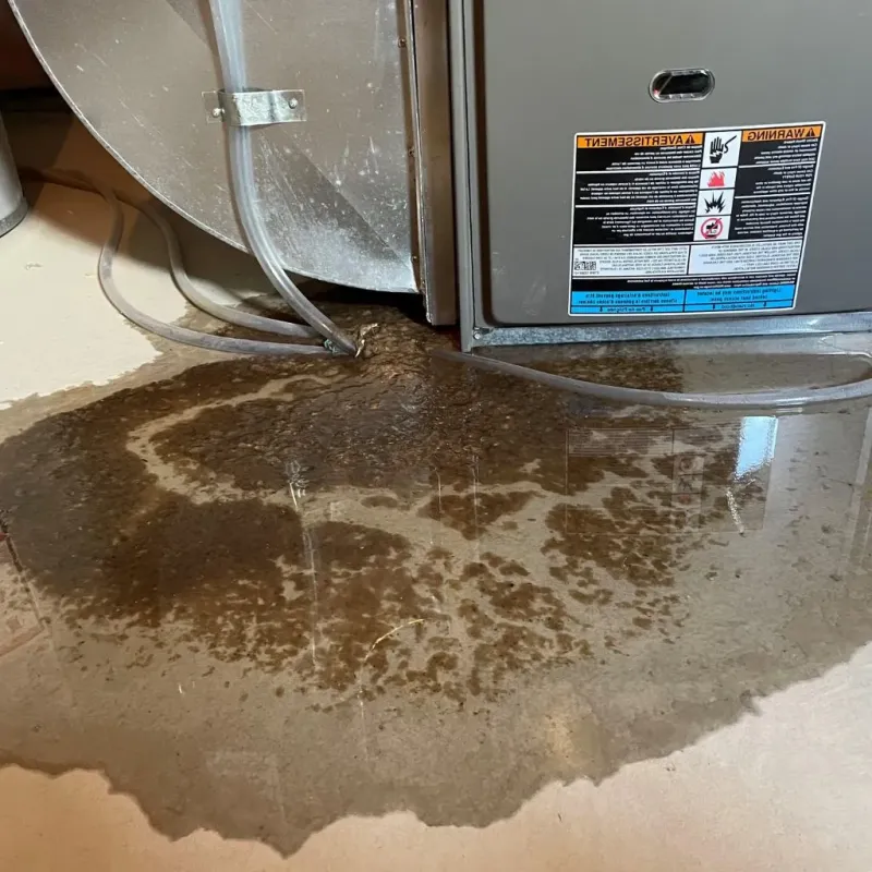 Pipe Burst and Leak Restoration in Fremont, OH