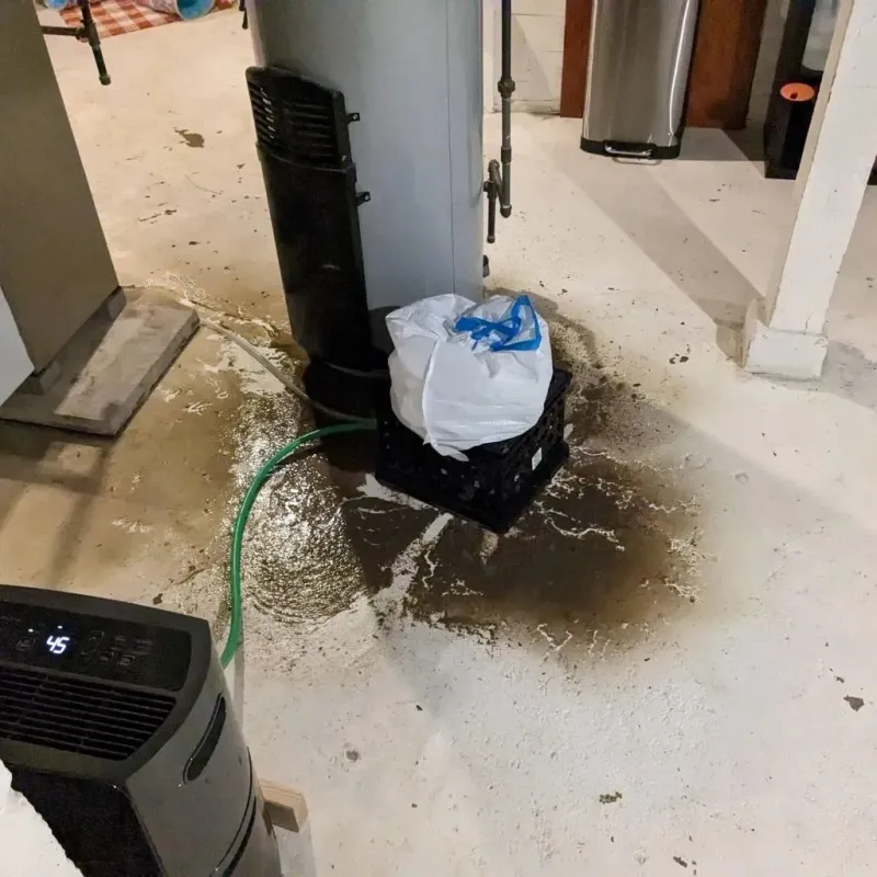 Sewage Backup Cleanup Service in Fremont, OH